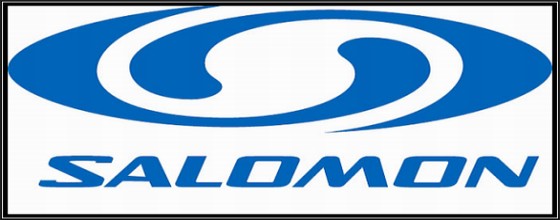 salomon_impact_logo_copy
